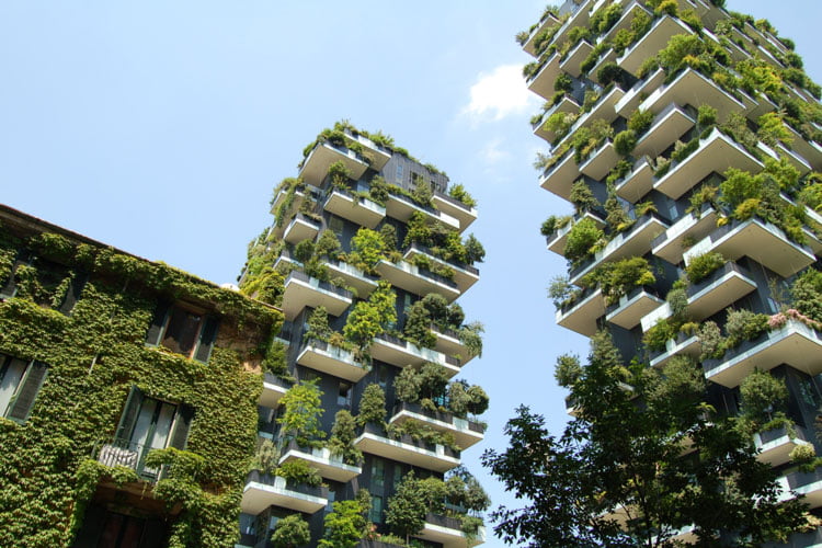architecture-alternativo