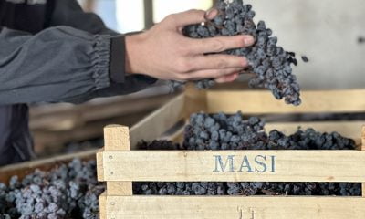 Masi-Agricola-bilancio-2022