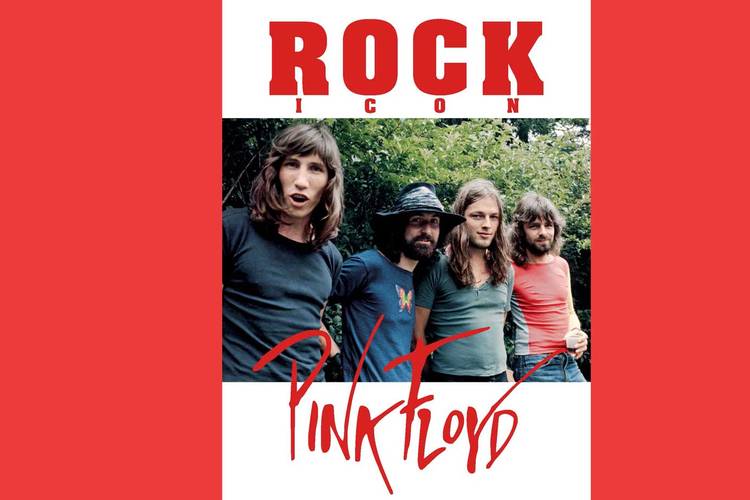 Rock-Icon-Pink-Floyd