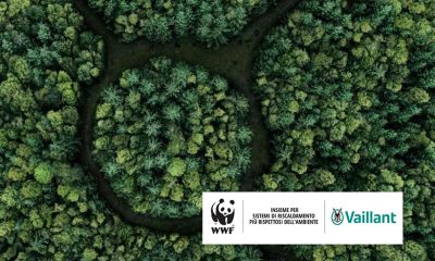 Wwf-Vaillant