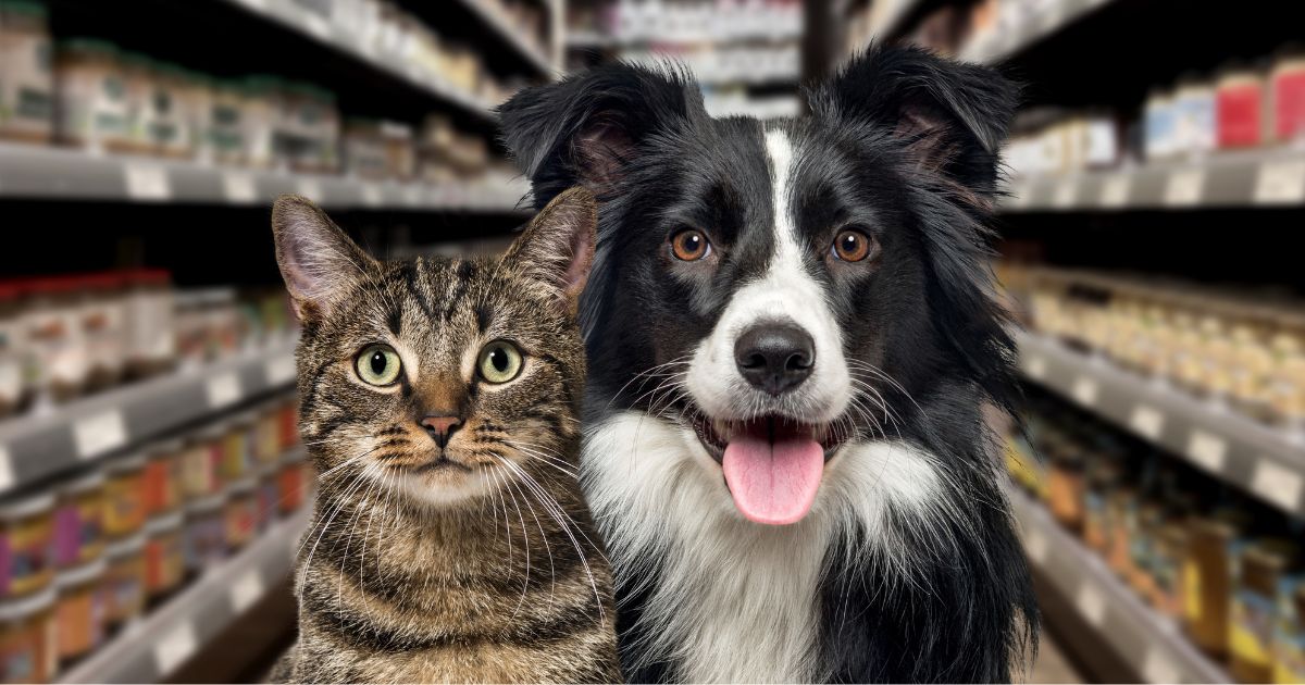 pet economy