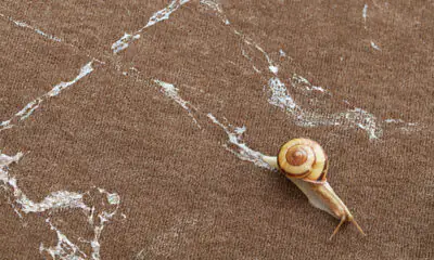 Mutual Aid – Arte in collaborazione con la natura