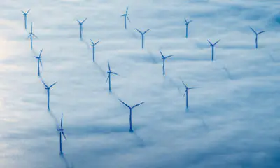 Il Net Zero conviene
