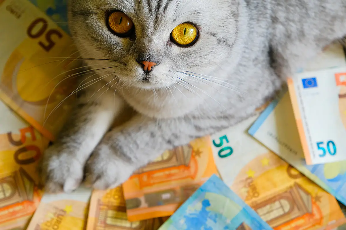 Pet economy a quota 27 mila imprese in Italia: crescono i servizi per animali