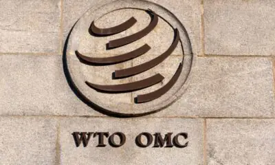 Wto lancia l’allarme: guerra dei dazi ferma commercio mondiale