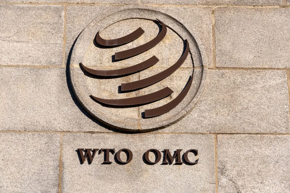 Wto lancia l’allarme: guerra dei dazi ferma commercio mondiale