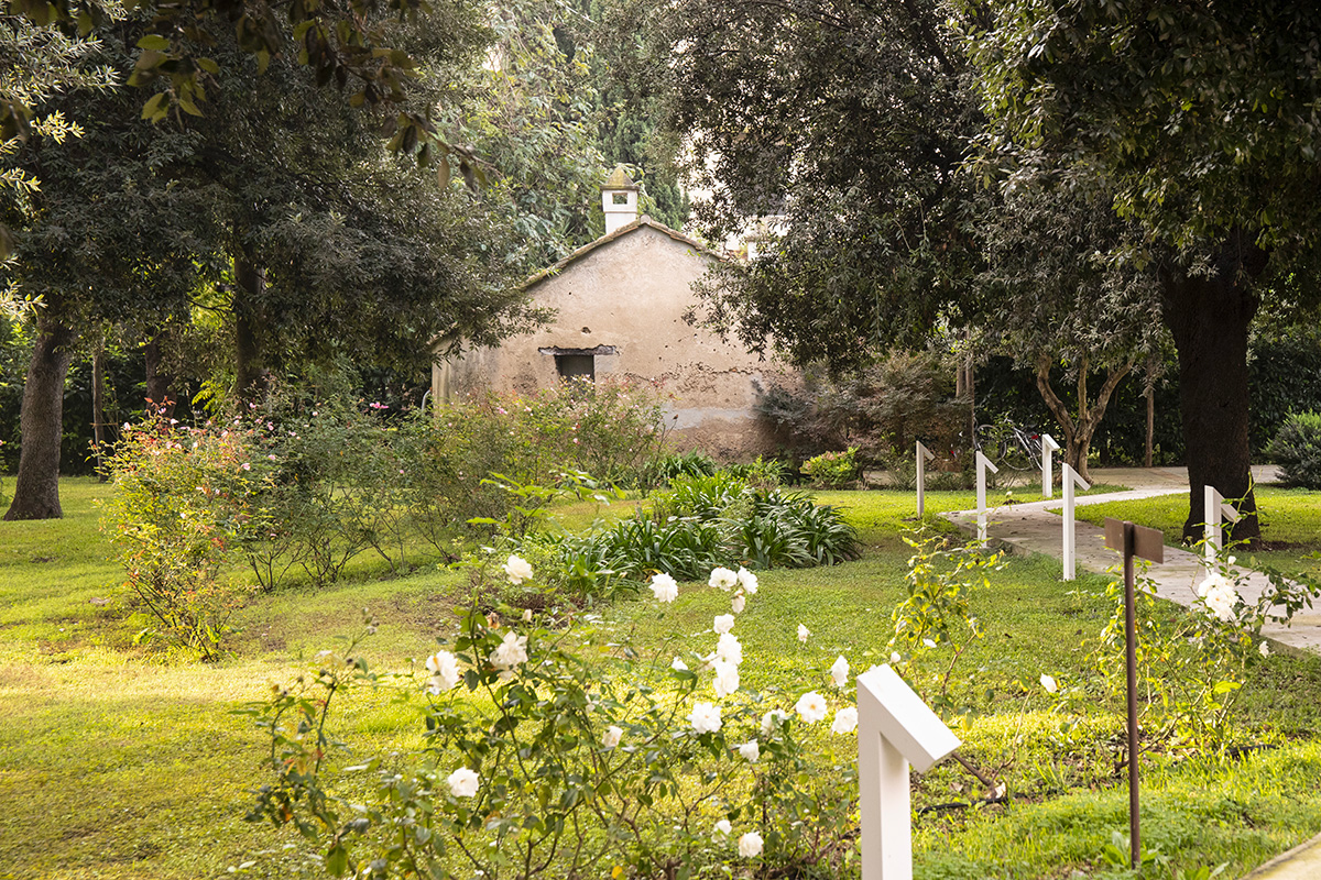 Piatto-chef-Luigi-Coppola-Casa-Coloni