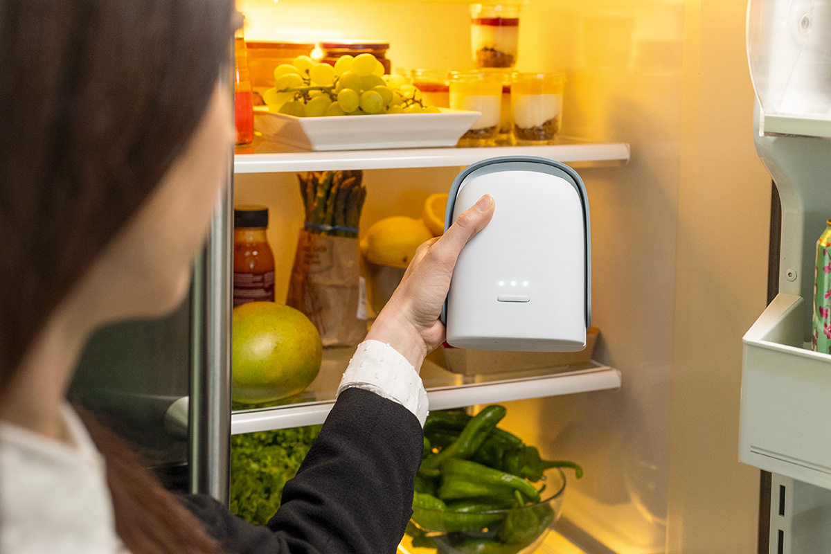 Shelfy Lite, il nuovo purificatore da frigo conquista Kickstarter