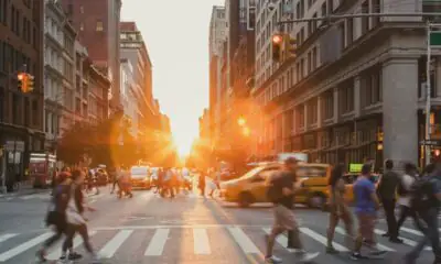 Americani fuggono dagli Usa di Trump: record di domande per diventare cittadini inglesi