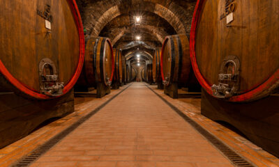 Sotto Montepulciano, il vino secondo Talosa