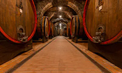Sotto Montepulciano, il vino secondo Talosa