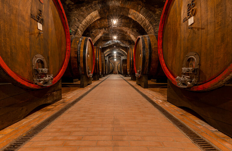 Sotto Montepulciano, il vino secondo Talosa