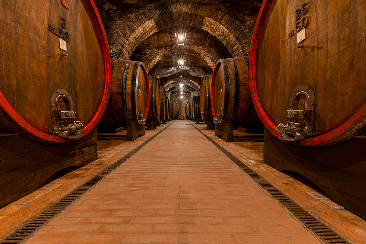 Sotto Montepulciano, il vino secondo Talosa